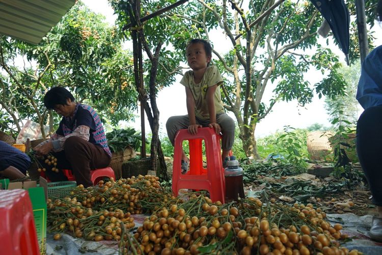 瀵诲懗閮佸崡鍘垮煄,瀵诲懗椤哄痉榛勭毊