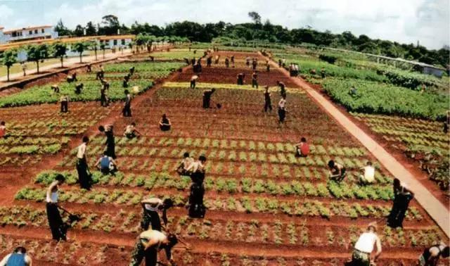 建军90周年：我军“锅碗瓢盆”那些事儿，这回全明白了