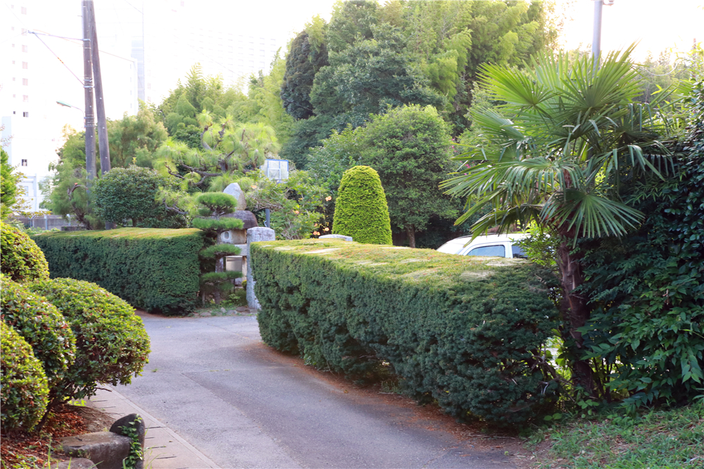 日本成田机场到市区最早几点,成田机场到东新宿