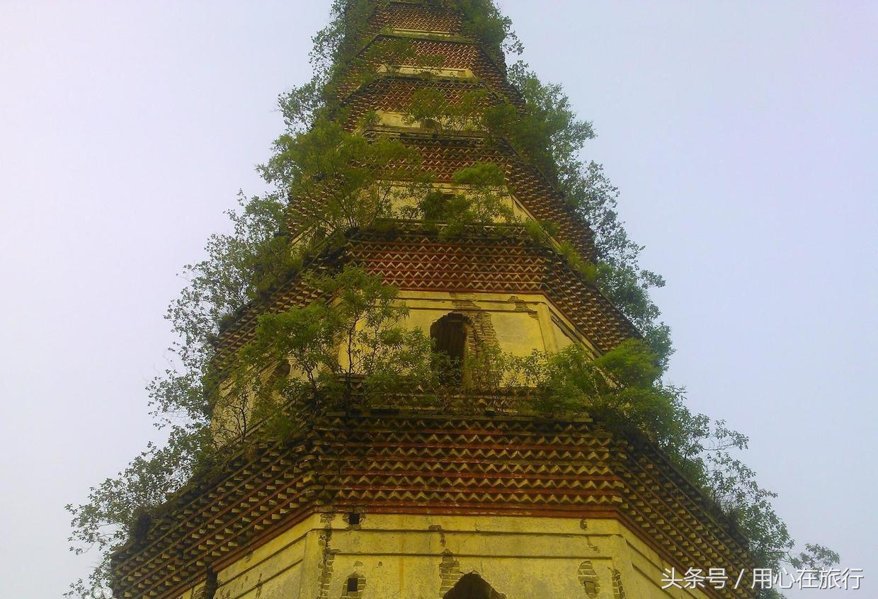 英德之旅,广东清远英德之旅