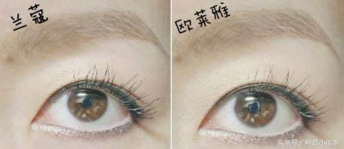 小钱买大牌｜贵妇级好物百元搞定