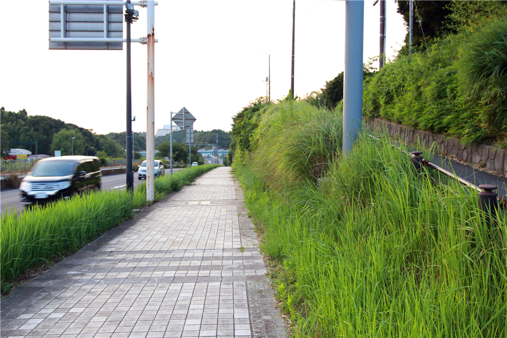 日本成田机场到市区最早几点,成田机场到东新宿