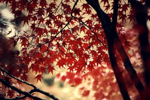 有文字的背景图正能量,正能量意境文字图片