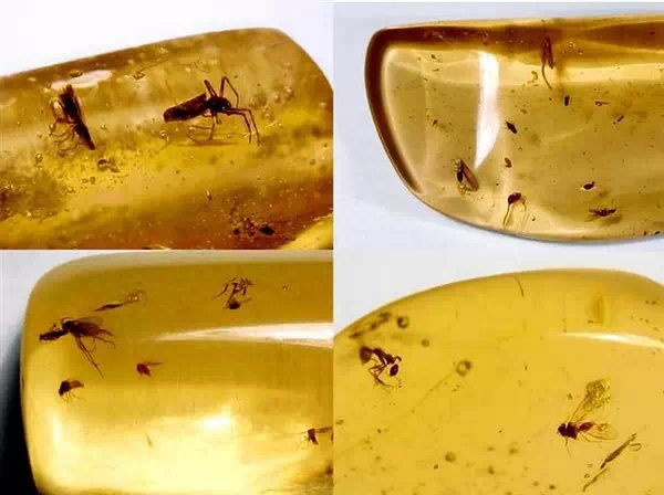 我的前半生宝石原石,我的前半生原石图片