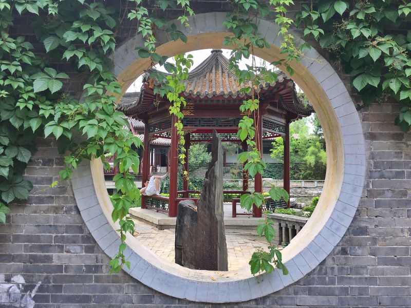 青山绿水间自由的飞翔,青山绿水放飞心情拥抱大自然