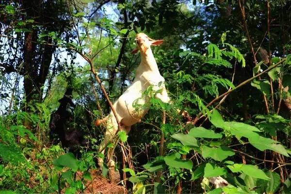 你会选择在南宁和300万人“假装生活”还是和我一起出逃到海岛呢！