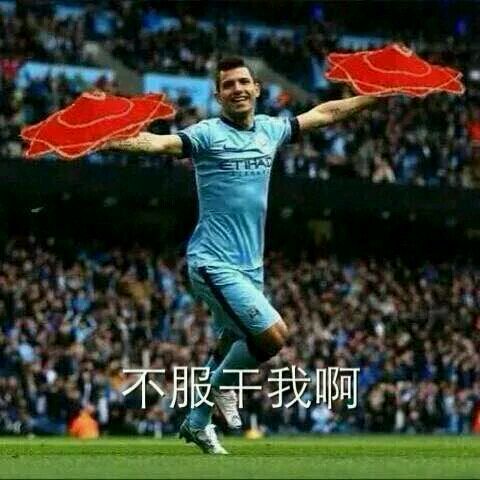 足坛表情包王大雷,足坛表情包贴纸