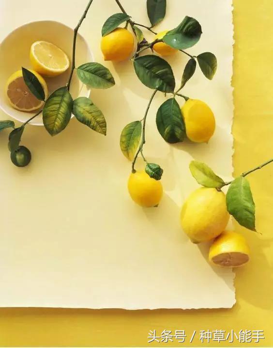 推荐4款大牌美白精华,平价美白淡斑精华