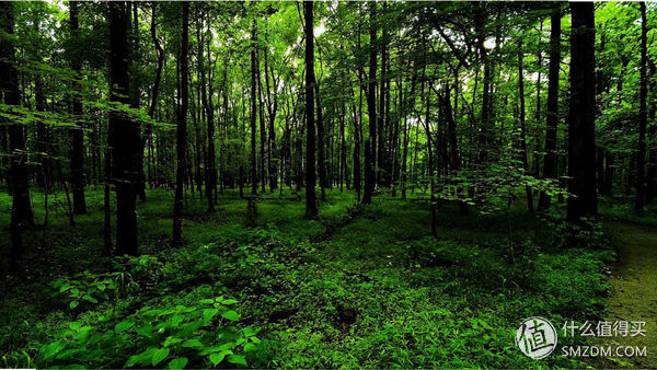 米家激光投影电视1s4k,米家激光投影和米家激光电视