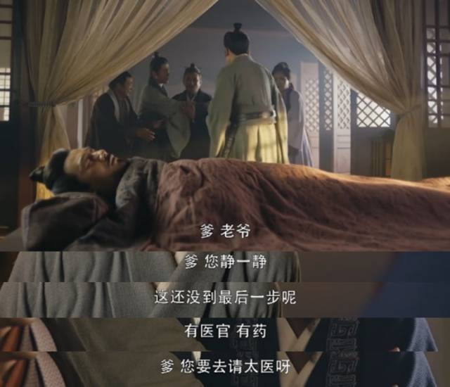 大军师司马懿那些你不知道的事,大军师司马懿曹真之死