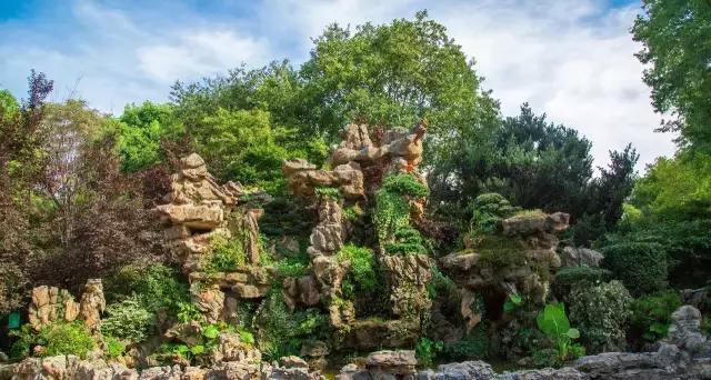 高温下的上海城市,上海40度以上高温