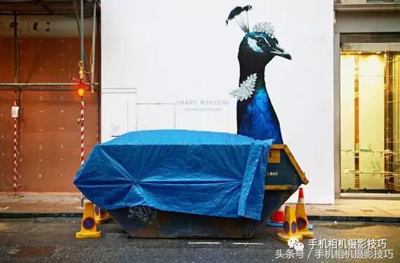 拍照不会教人摆动作怎么办,拍照不会动作和表情咋学