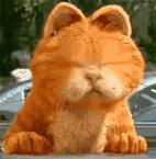 想知道韩国卖的Refa是真是假？那我这边文章统统告诉你