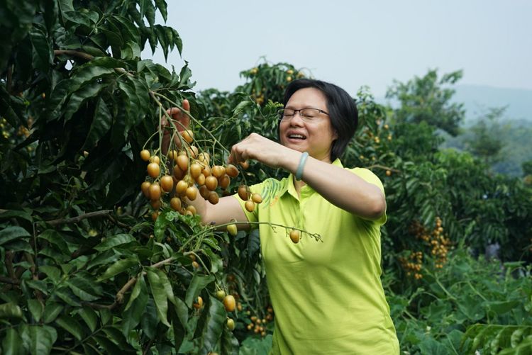 瀵诲懗閮佸崡鍘垮煄,瀵诲懗椤哄痉榛勭毊