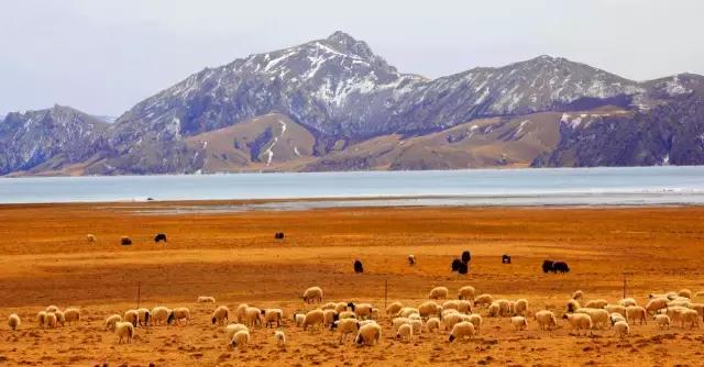 青海到苏州旅游攻略,苏州去青海最佳路线攻略