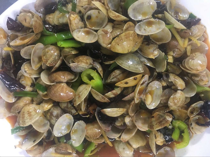 三亚带孩子精品旅游小团,三亚亲子岛旅游攻略