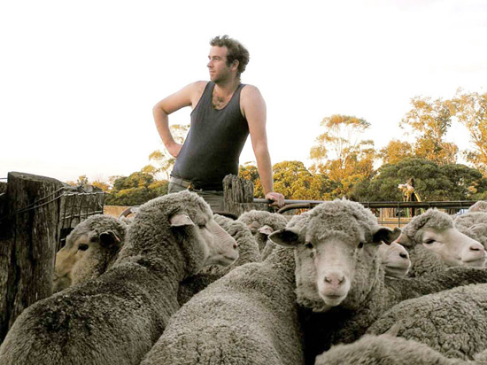 澳大利亚是大洋洲人口最多的国家,澳大利亚是不是大洋洲唯一的国家