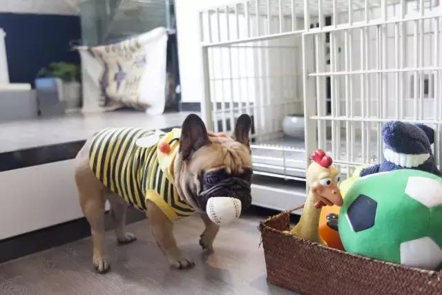 36㎡打造乐活居,你什么样,生活就什么样!