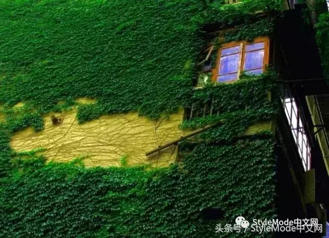 再普通的房子遇上爬山虎，都会变成别具一格的城堡！