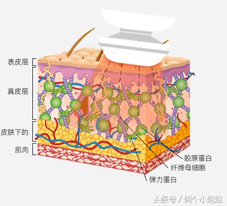 七种网红美容仪,现在比较流行的美容仪有哪款