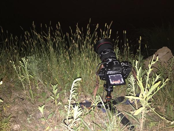 入门级便捷旅行三脚架推荐,爬山便携三脚架