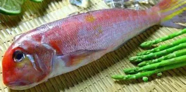 《一啸渔乐》常见的海鱼你认识多少？