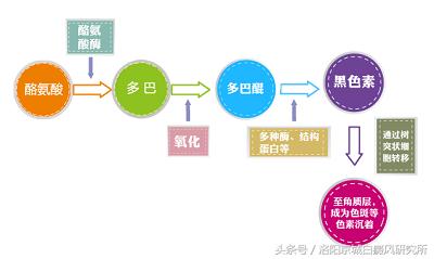 白癜风的真相完整版,白癜风治好的真人真事