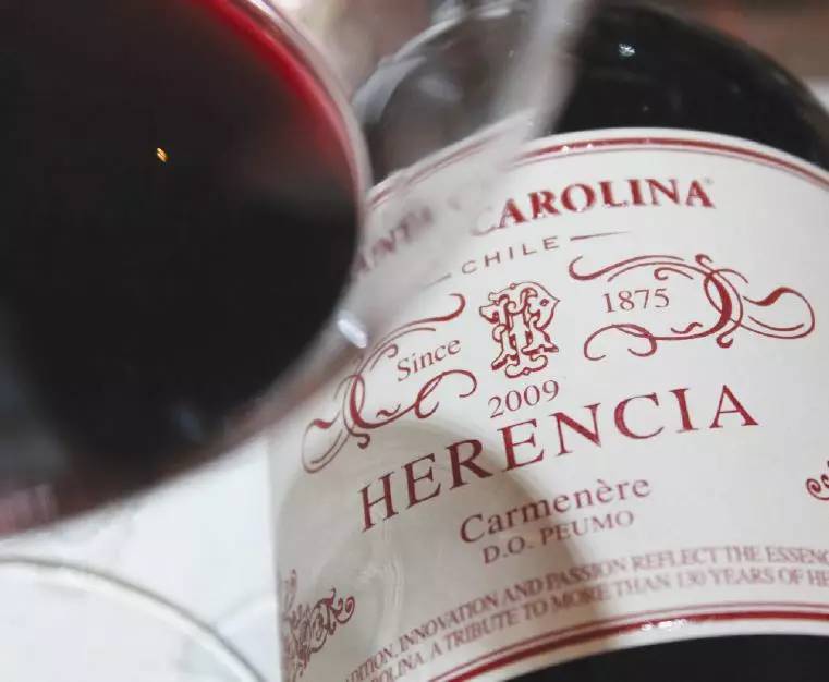 智利葡萄酒最具性价比,智利前十大葡萄酒