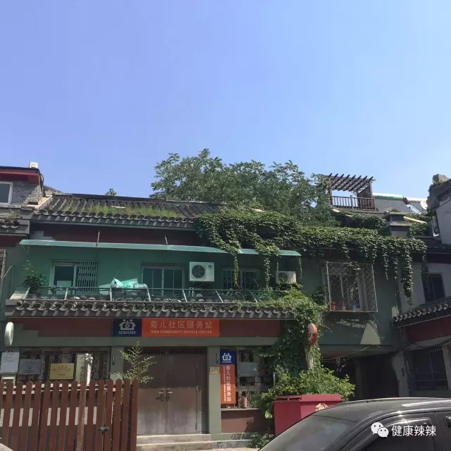 跟着辣妹逛胡同之二，带你看看20万的猫~菊儿胡同走起