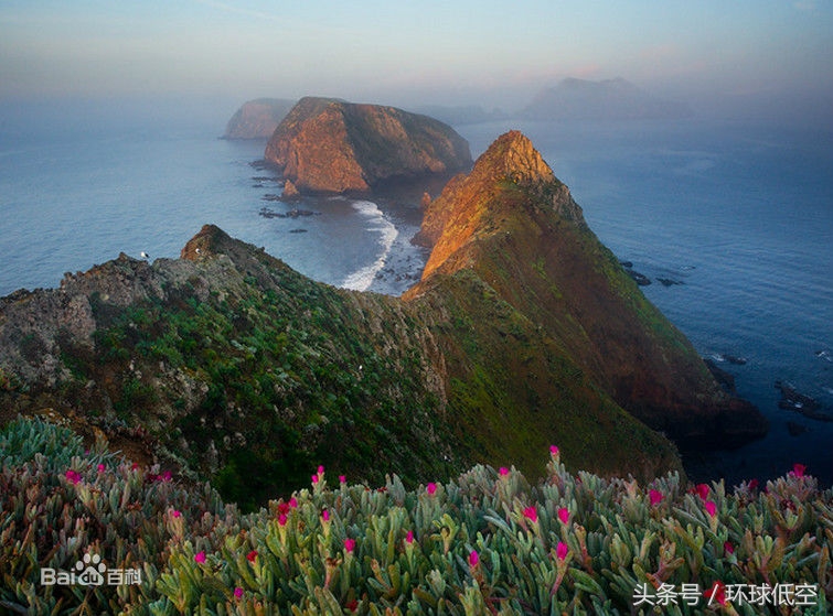 飞往美国的城市有哪些,飞往美国都经过哪里