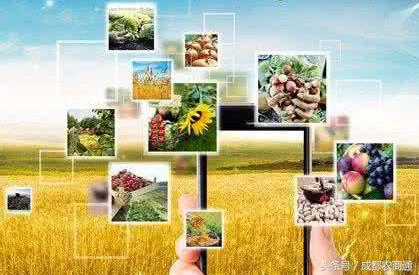 武松面对困难,农资电商为什么越来越难