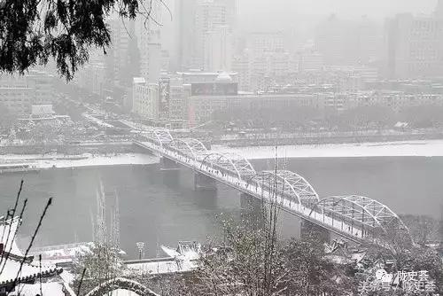 故宫金瓜贡茶是生普还是熟普,故宫珍藏的金瓜贡茶味道怎么样