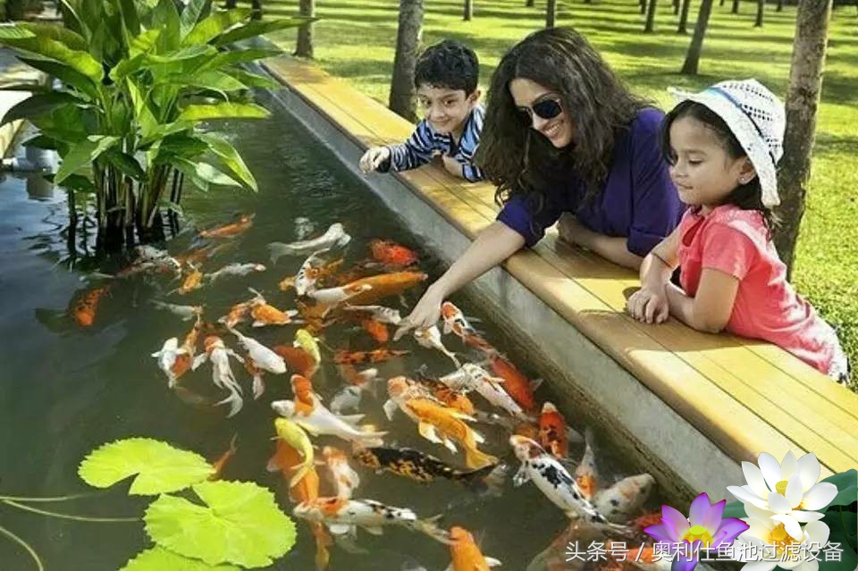 不会撩妹的锦鲤，不是一条好锦鲤！