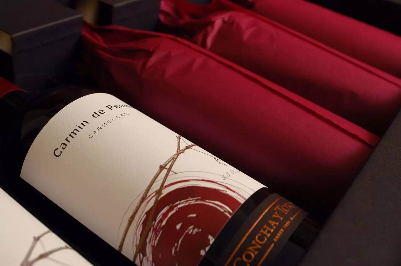 智利十大最贵葡萄酒,智利最有名的葡萄酒是什么