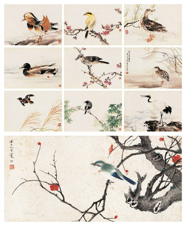 海派花鸟画谁的比较好,海派名家张雄花鸟画