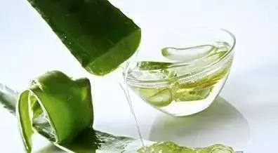 生活妙招：花友们自己制作芦荟面膜