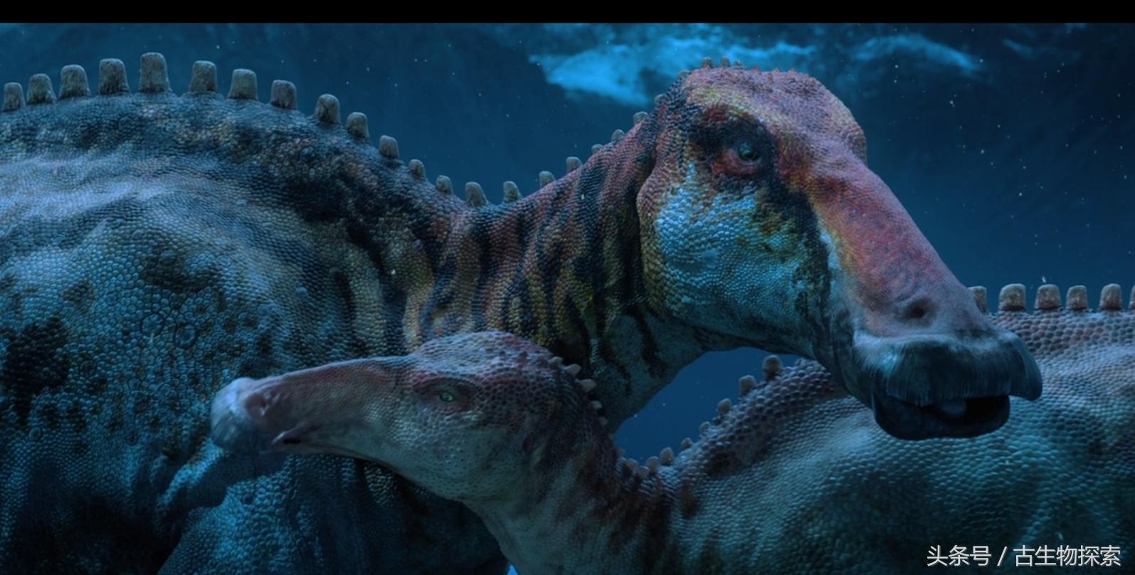 白垩纪的超级鸭嘴龙类，比霸王龙还要大！