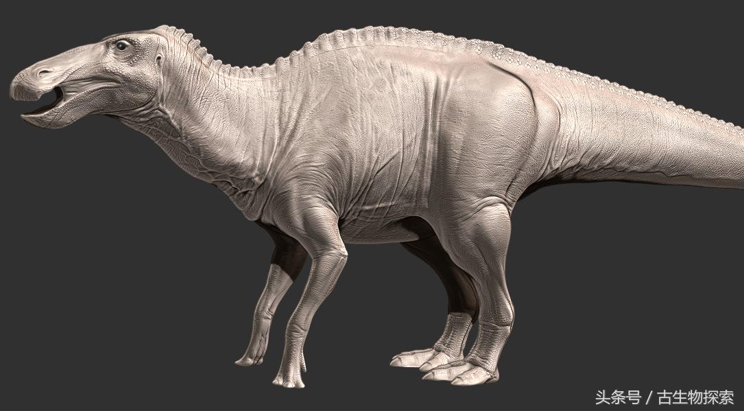 白垩纪的五大暴龙,白垩纪霸王龙是最强吗