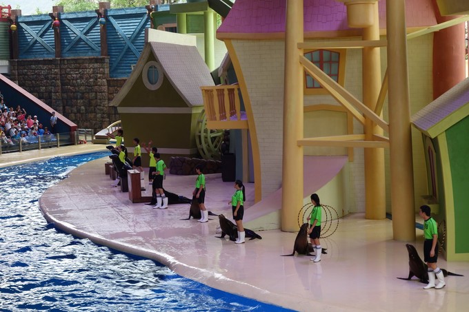 珠海长隆海洋王国游记作文,珠海长隆海洋王国一日游攻略