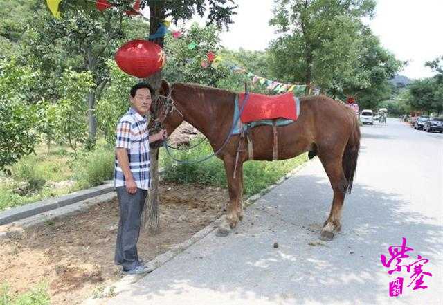 「紫塞」农家院乡村游探店攻略六十四：天津蓟县八仙山农家院-朋友山庄