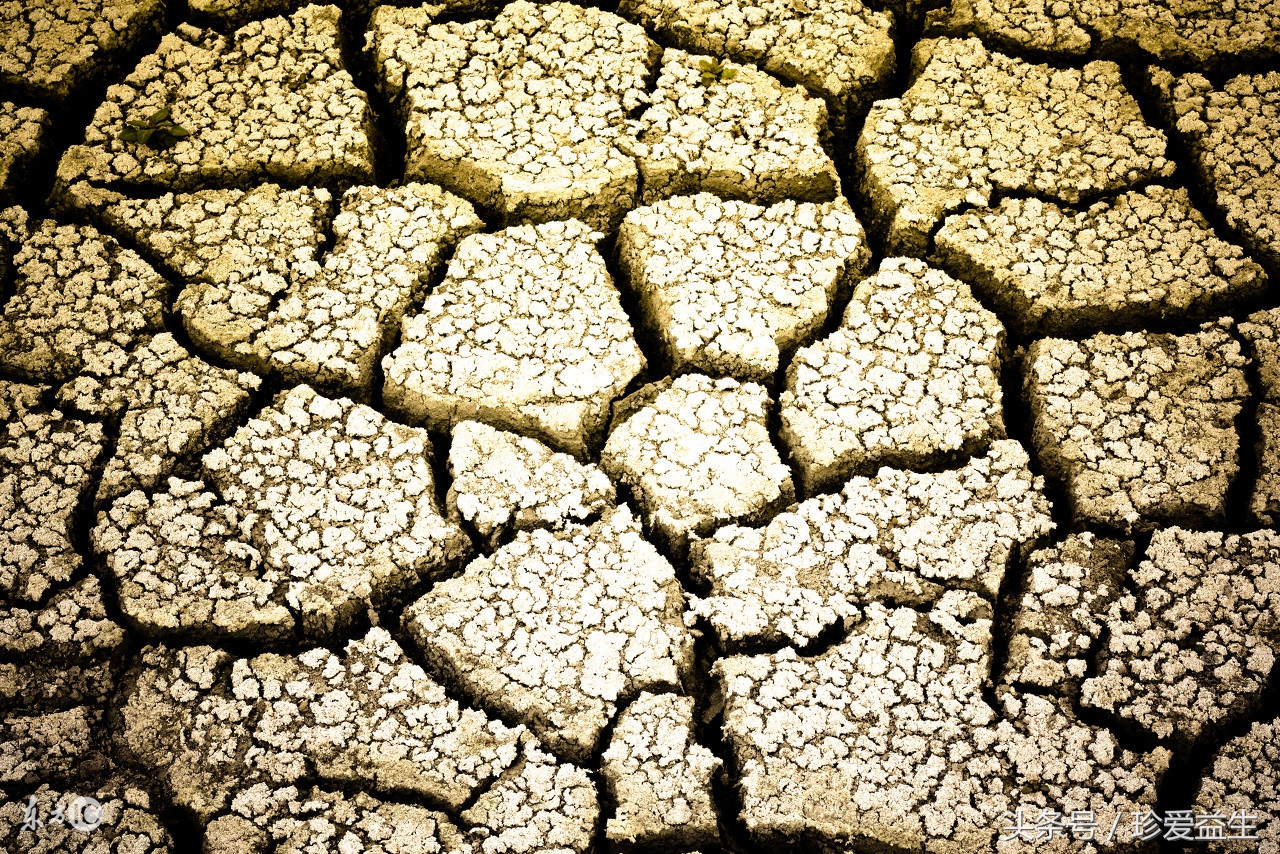 你知道，你已深陷肿瘤的包围圈吗？