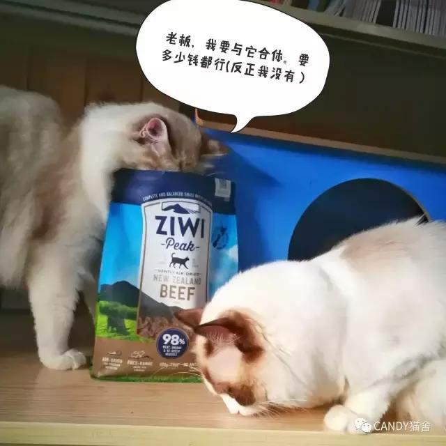 体验报告,猫生烘焙猫粮测评