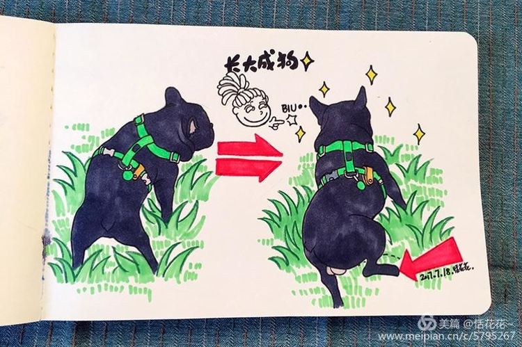 灏忕嫍ins椋庣畝鍗曞張濂界湅缁樼敾,钀屽疇鐙楃嫍缁樼敾浣滃搧