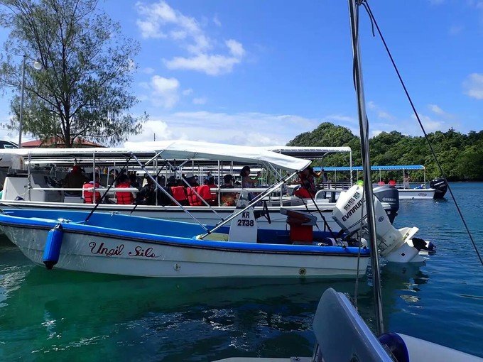 看鲨鱼，玩泥巴，看男人穿婚纱，带你看不一样的帕劳