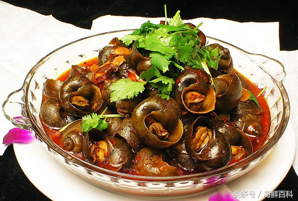 孕妇自己做的田螺可以吃么,田螺的做法爆炒加藕丁