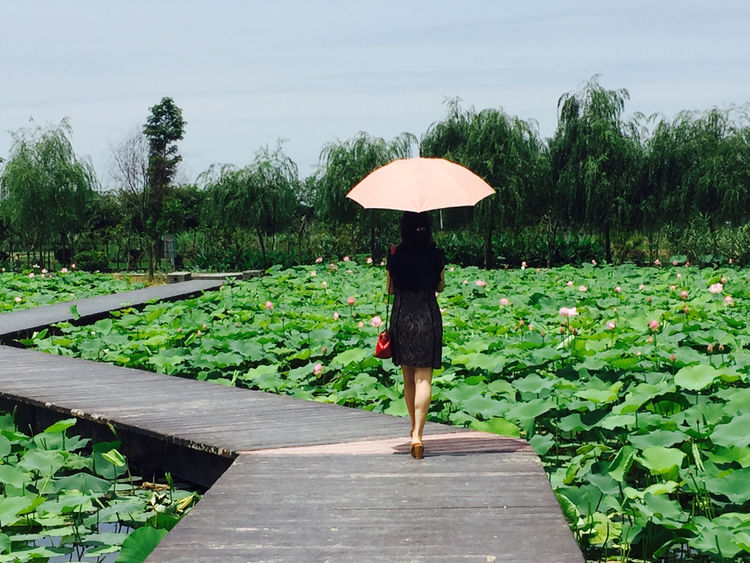 虚度光阴才是最好的状态,虚度时光才是人生的最高境界
