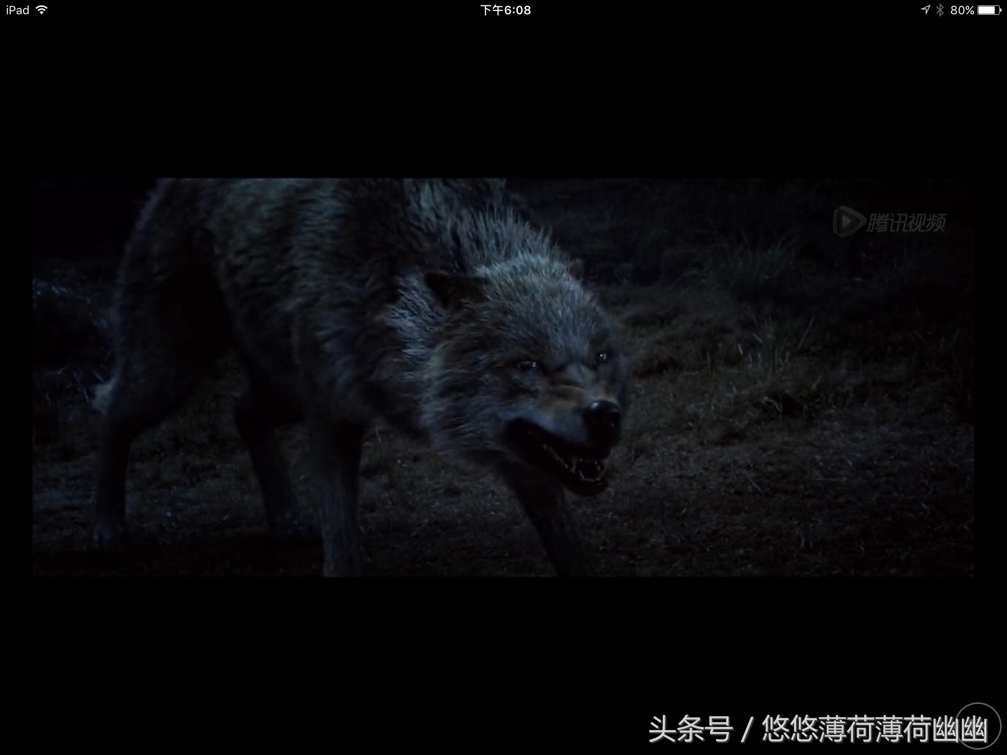 战狼1犯我中华者虽远必诛配音,战狼1犯我中华者虽远必诛合集