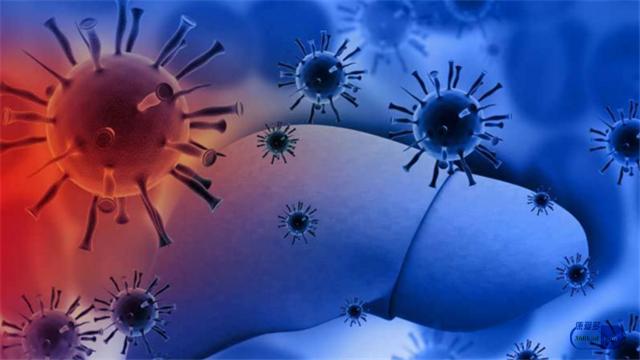 肝炎出现转氨酶升高用什么中草药,肝炎引起的转氨酶高怎么办