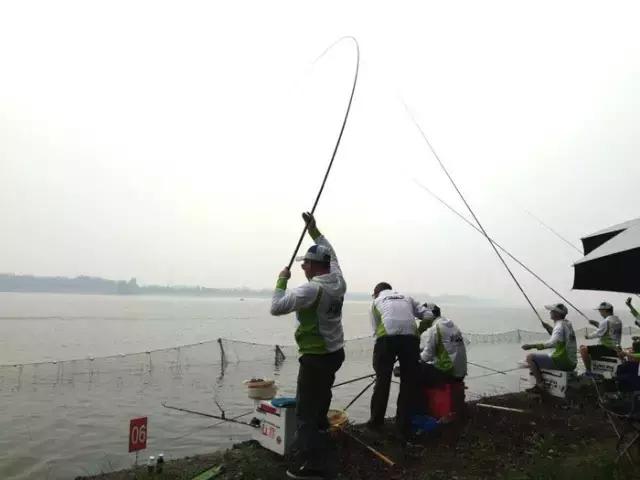 行营钓鱼俱乐部,化氏高湖2024垂钓大赛冠军