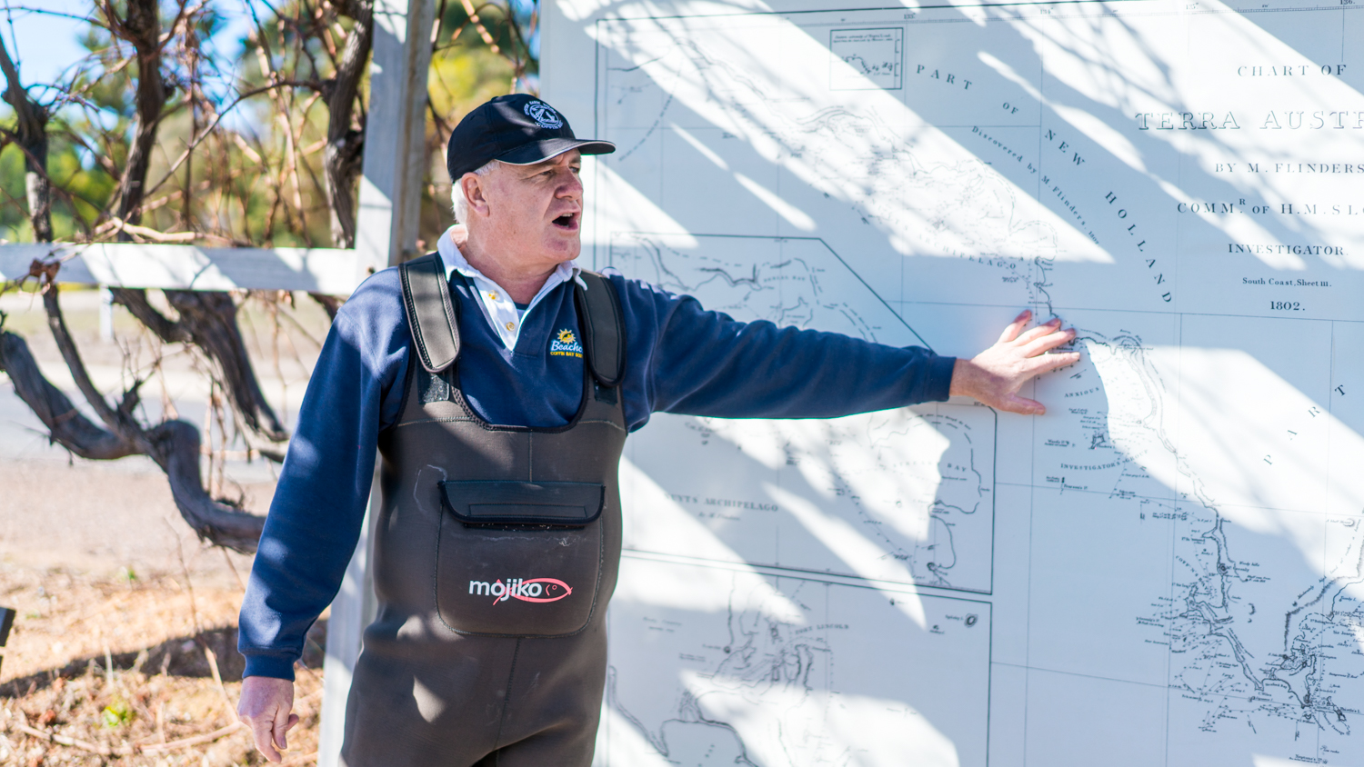 澳洲生蚝哪里最好,全球顶级生蚝多少钱一个